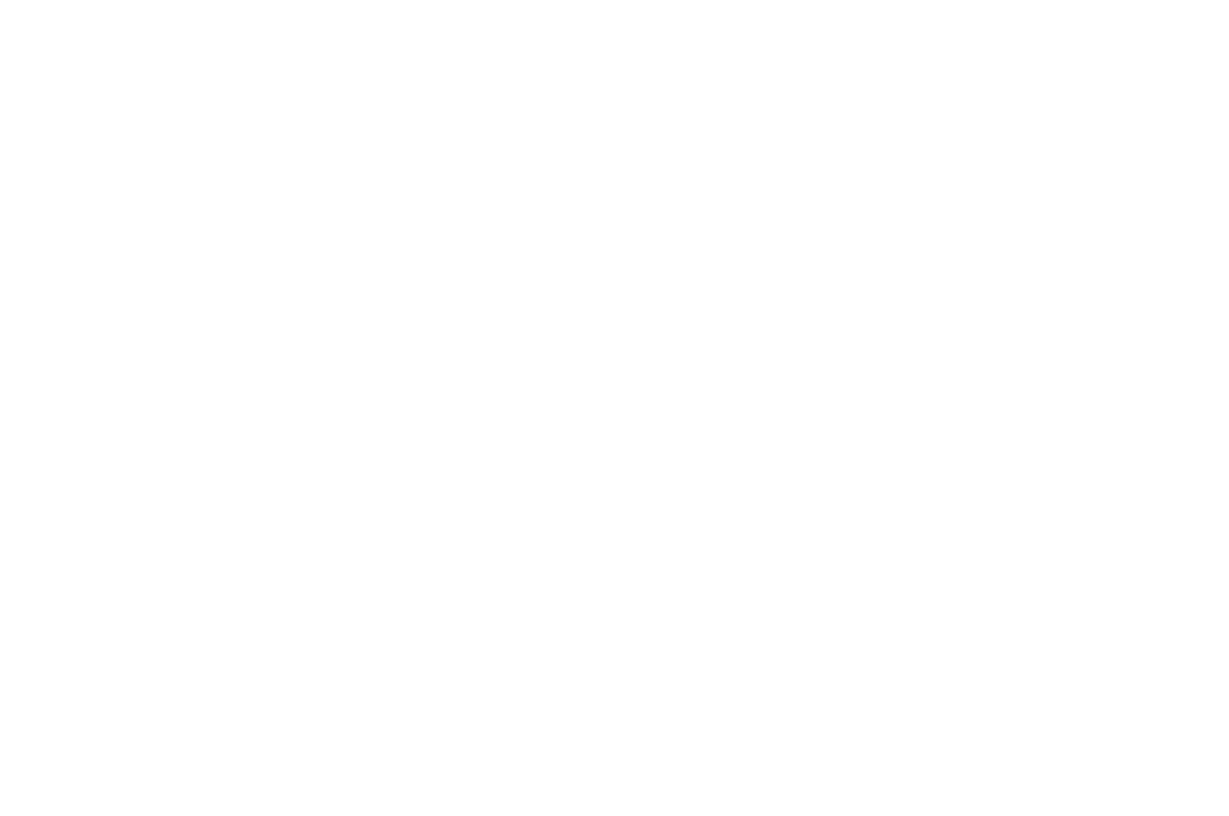 BEST DOCUMENTARY - American Golden Picture International Film Festival - 2025 (2)
