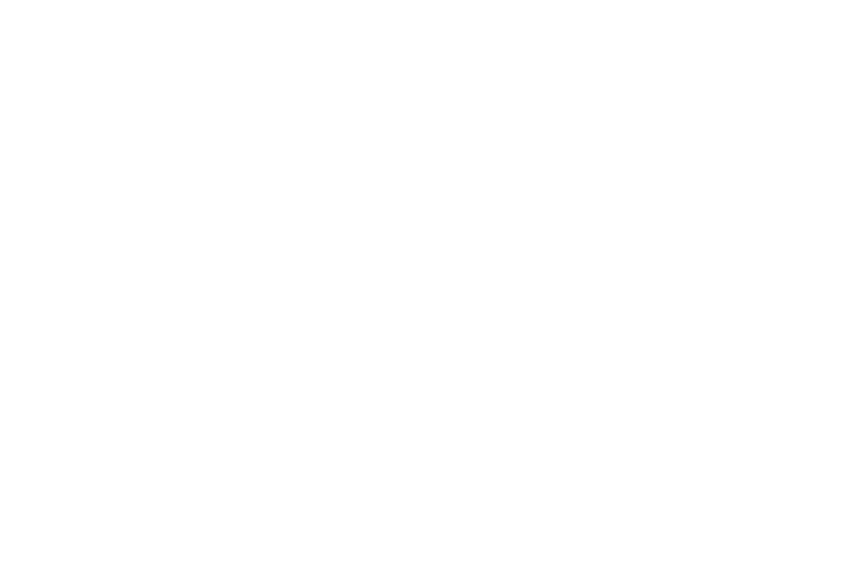 BEST DOCUMENTARY - Ponza Film Festival - 2025 (2)