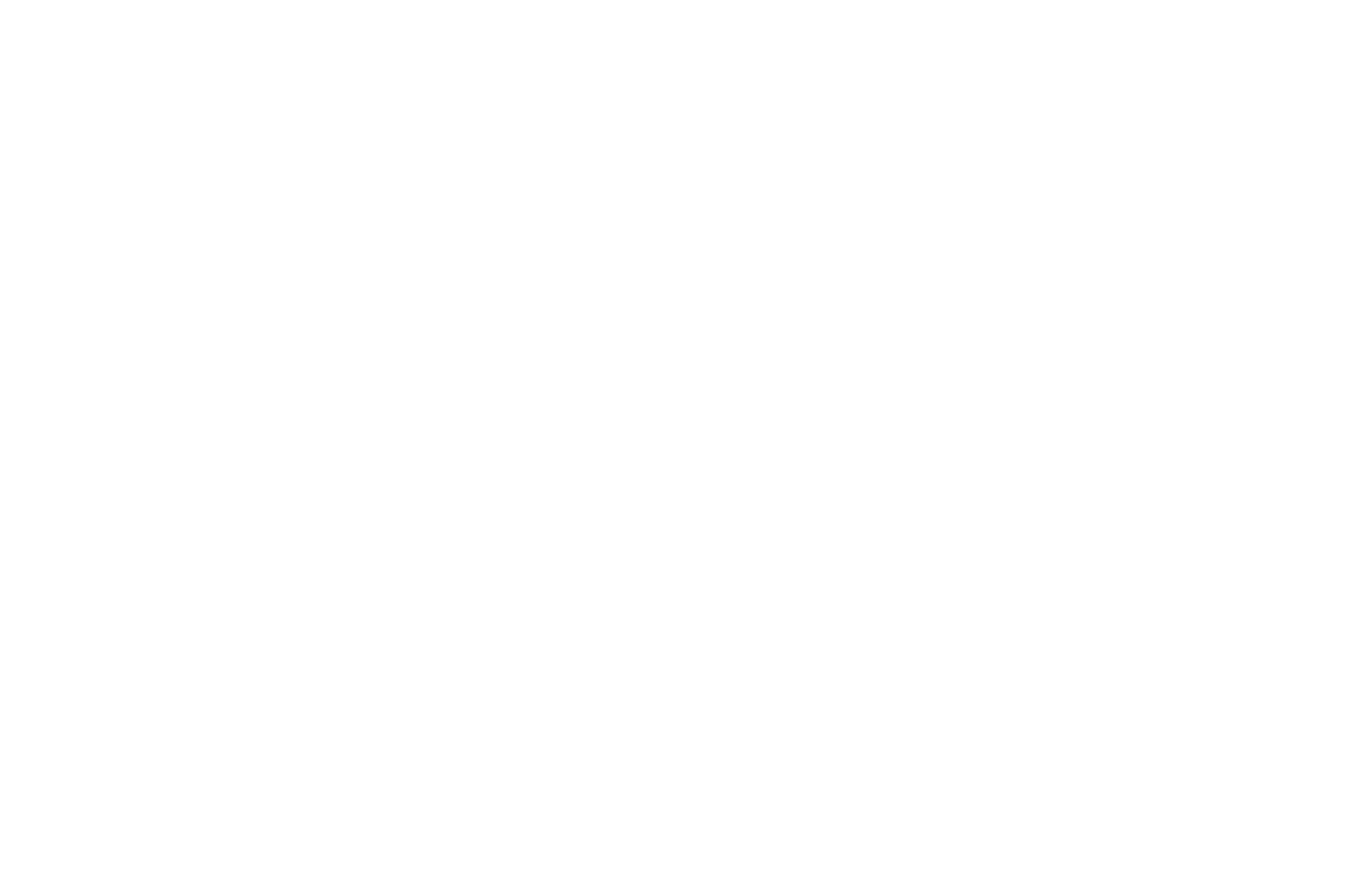 OFFICIAL SELECTION - East Village New York Film Festival - 2025 (2)