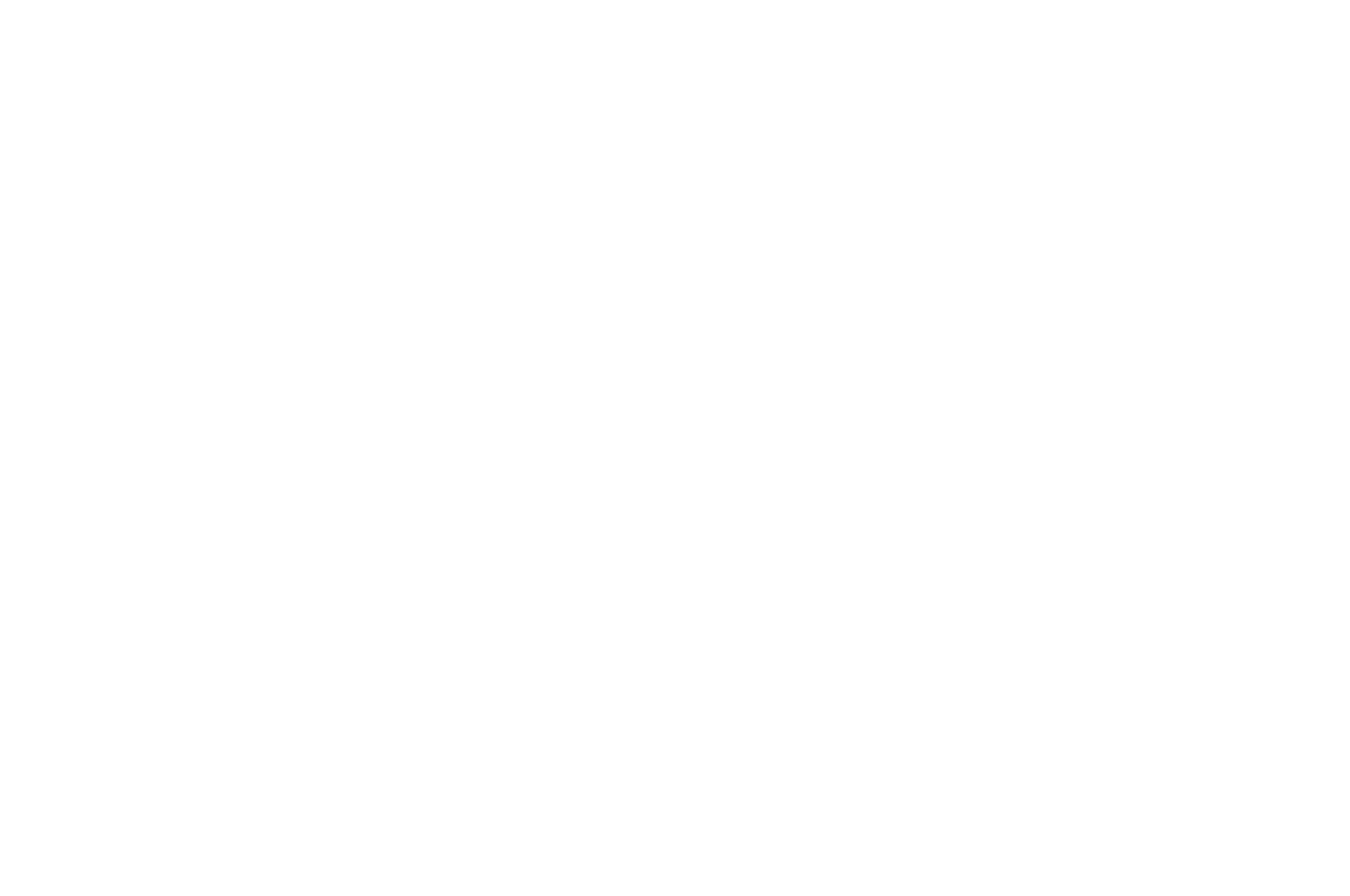 OFFICIAL SELECTION - Fortean Film Festival - 2025 (1)