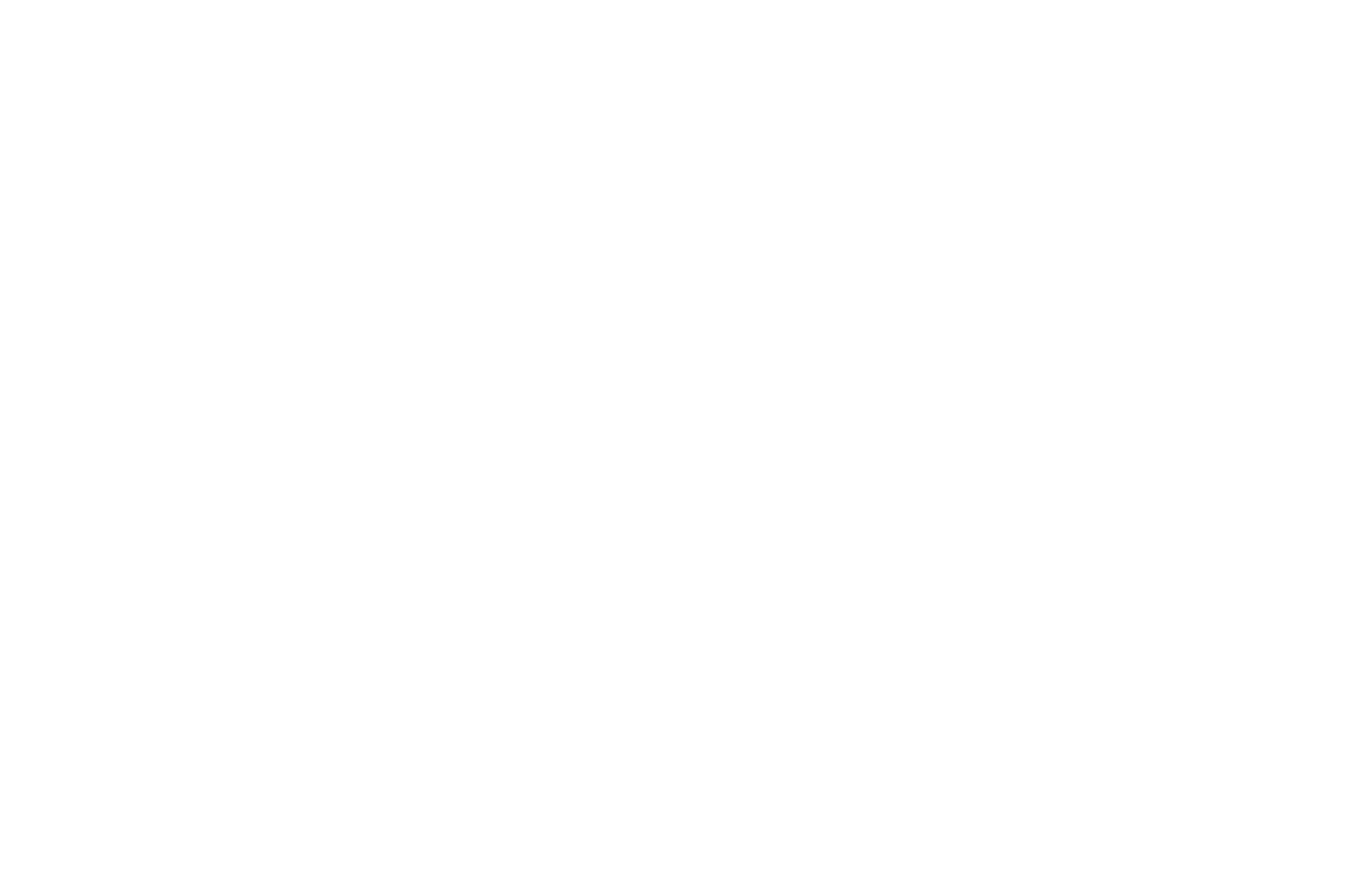 OFFICIAL SELECTION - Global INDIE Filmmaker Awards - 2025 (2)