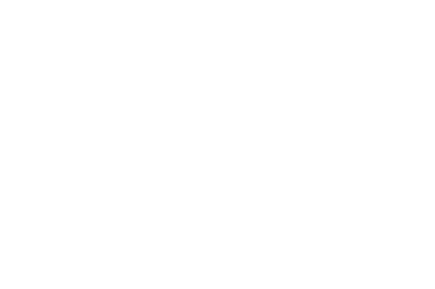 OFFICIAL SELECTION - International Celebration of Cinema - 2025 (2)