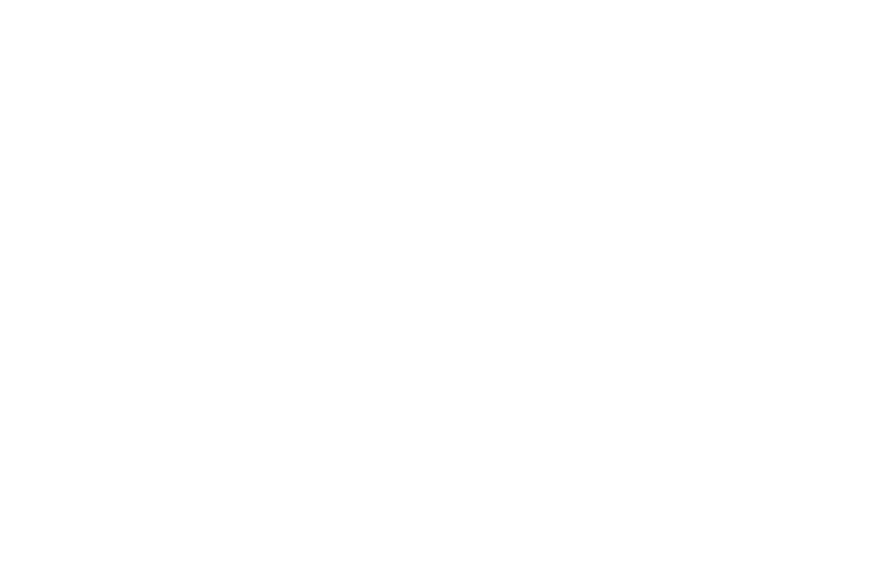 OFFICIAL SELECTION - Swedish International Film Festival - 2025 (2)