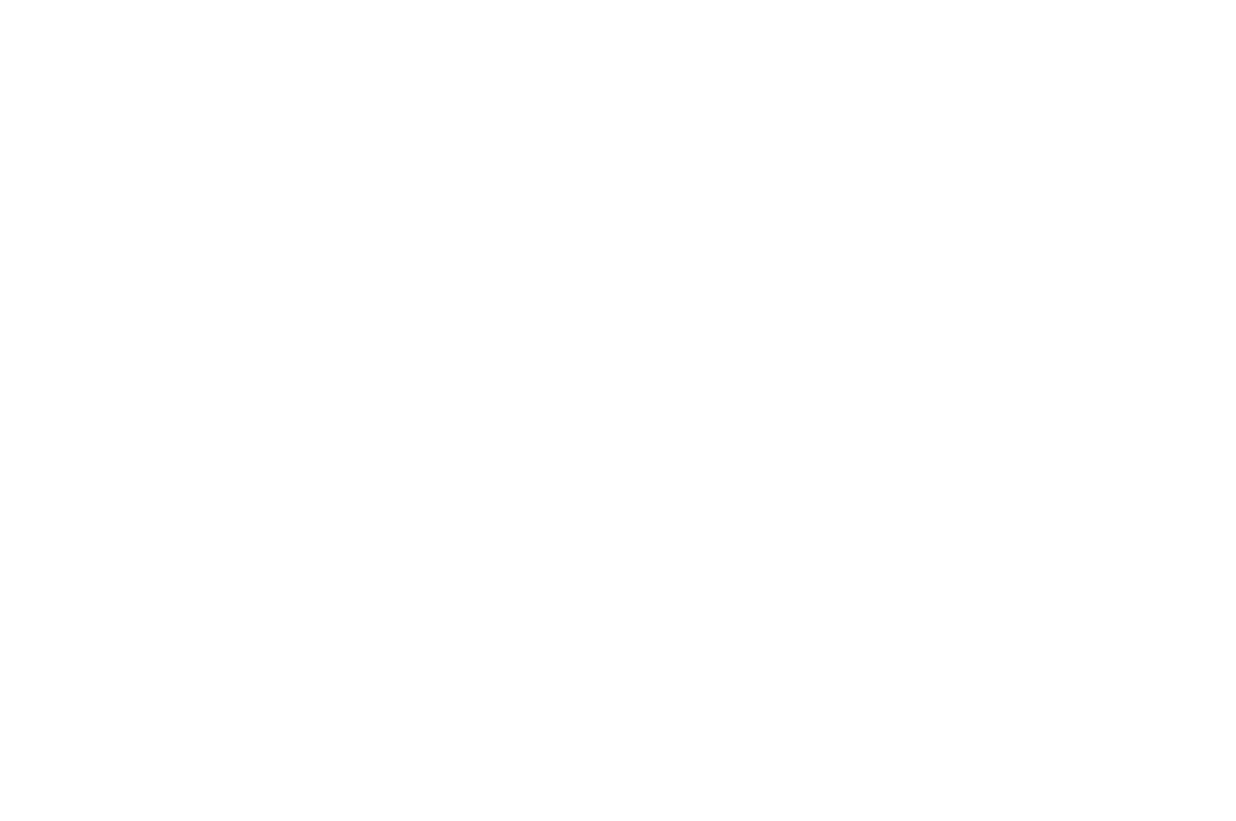 WINNER - 4th Dimension Independent Film Festival - 2025 (2)